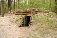 Спадщанский лес